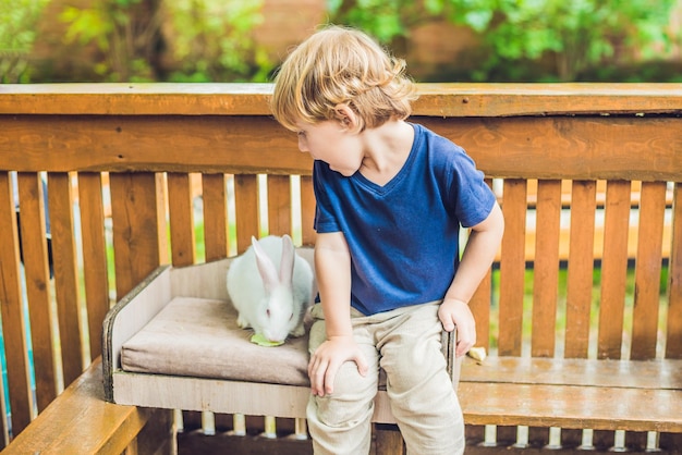 Toddler boy caresses and playing with rabbit in the petting zoo. concept of sustainability, love of nature, respect for the world and love for animals. Ecologic, biologic, vegan, vegetarian