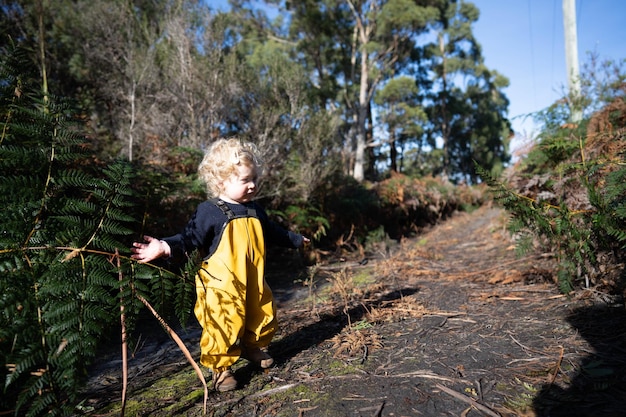 toddler exploring in yellow overalls in the forest in winter