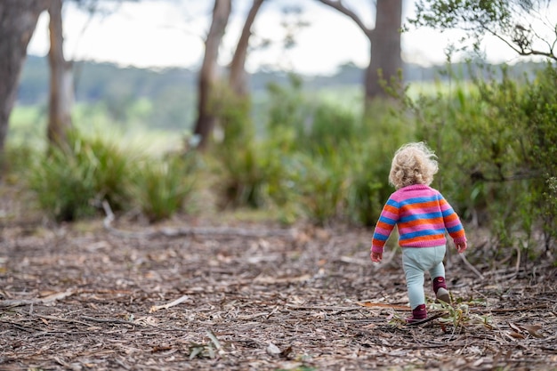 toddler hiking in the forest on a path in a national park