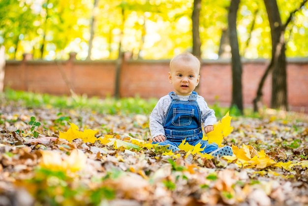 秋の葉で公園に座っている幼児