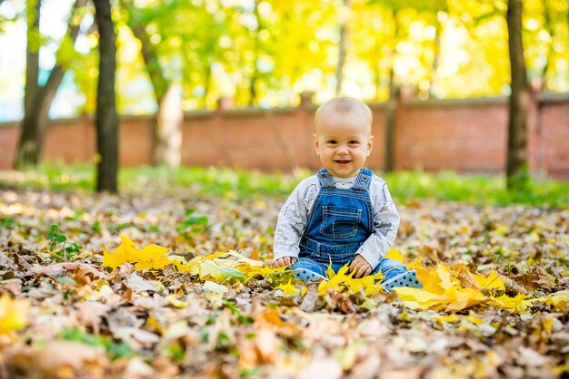 秋の葉で公園に座っている幼児