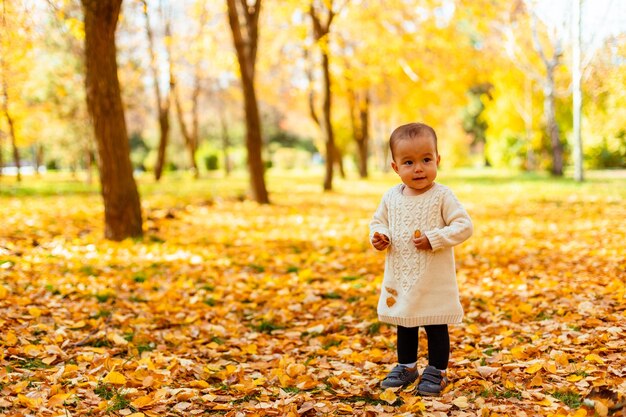 秋の公園で黄色の葉に立っている幼児