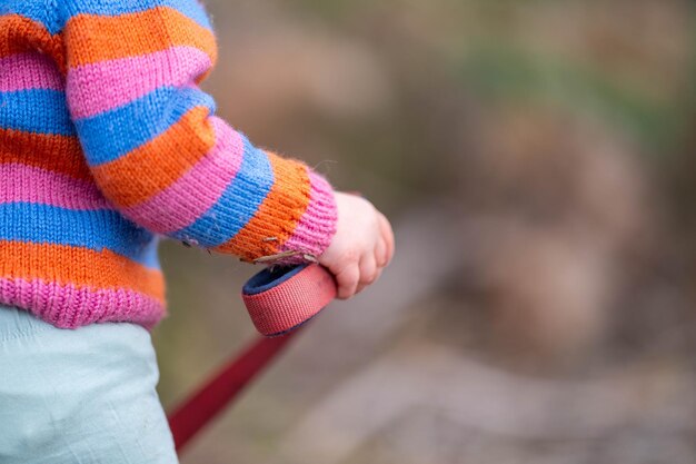 toddler walking dog with a red dog lead in nature