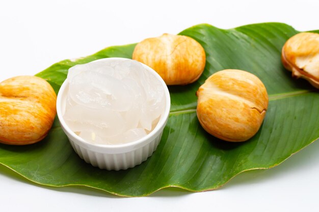 Toddy palm on white background.