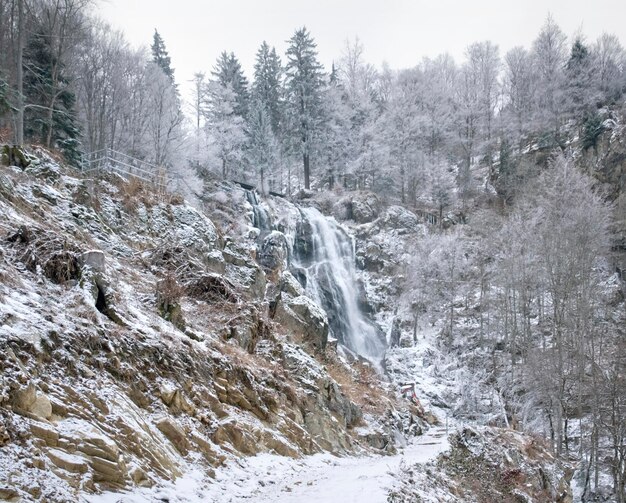 Todtnau-waterval in de winter