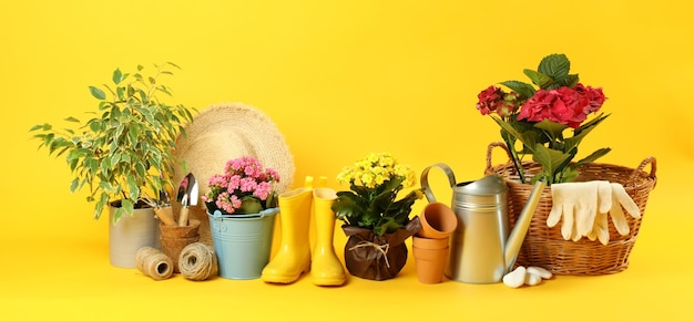 Toebehoren en gereedschappen voor tuinieren op gele achtergrond