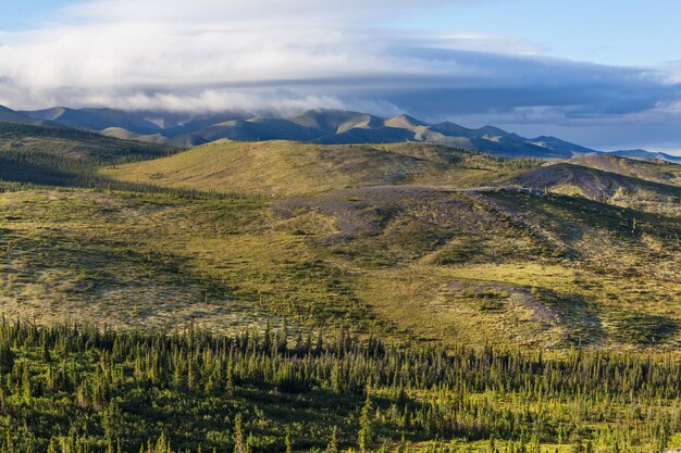 Toendra in Canada