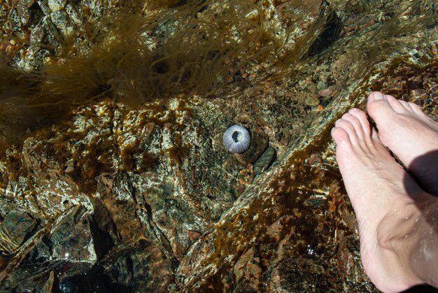 Foto toerisme en reizen over zee rust op zee