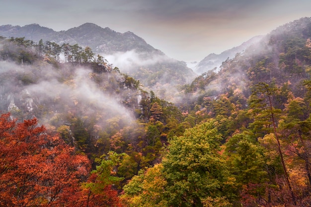 Toerist die Mt. Fuji in de herfst, Japan