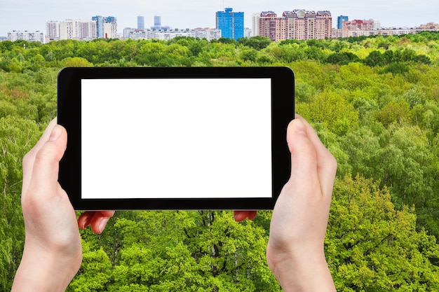 Toerist fotografeert groene bomen in zomerbos