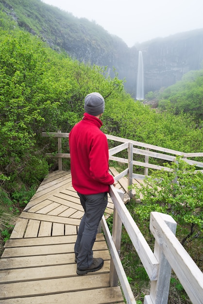 Toerist in een rode jas kijken naar een waterval in IJsland