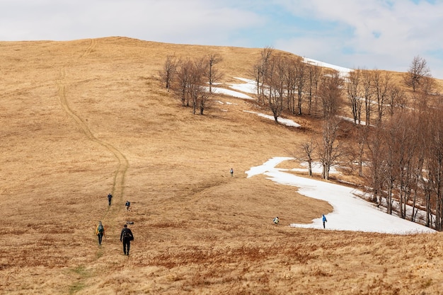 Toeristen beklimmen de berg. Natuur van de Karpaten. Oekraïense Carpathians.Spring tijd