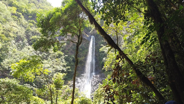 Toeristen die watervallen bezoeken in de jungle van Peru Quillabamba