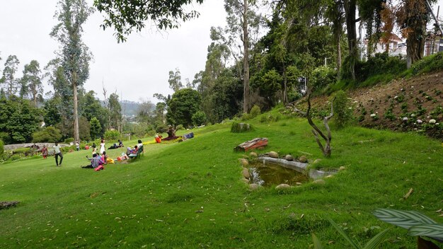 Foto toeristen genieten van de prachtige schilderachtige tuin van het chettiar-park