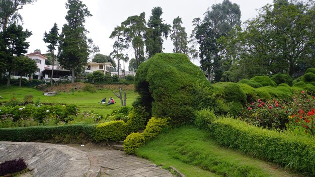 Foto toeristen genieten van de prachtige schilderachtige tuin van het chettiar-park