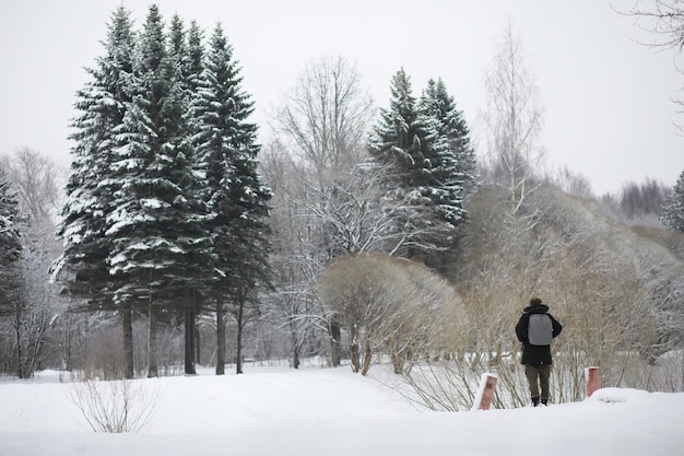 Toeristen reizen door het besneeuwde land Onderweg wandelen en liften