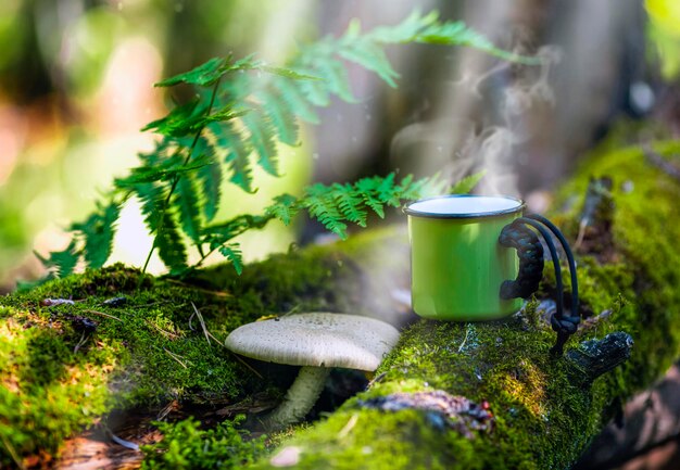 Toeristen stoppen een mok hete thee of koffie staat op een omgevallen boom in het bos, de stralen maken hun