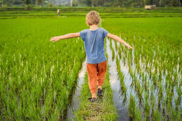 Toeristenjongen loopt in een rijstveld en reist met kinderen concept kindvriendelijke plek