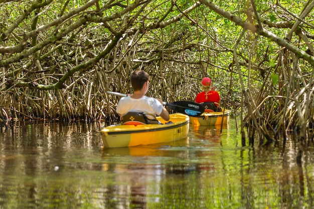 Toeristenkajakken in mangrovebos in everglades florida usa