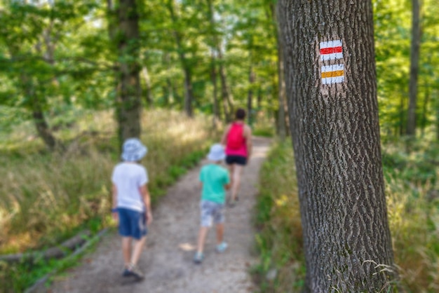 Toeristisch teken op boom