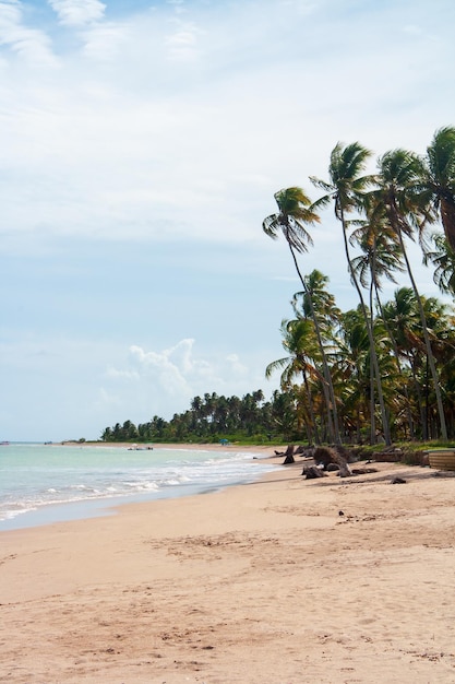 Toeristische route bij Lages strand, Sao Miguel dos Milagres, staat Alagoas