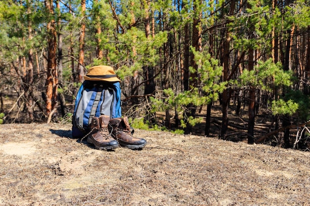 Toeristische rugzak wandelschoenen en hoed op de open plek in dennenbos
