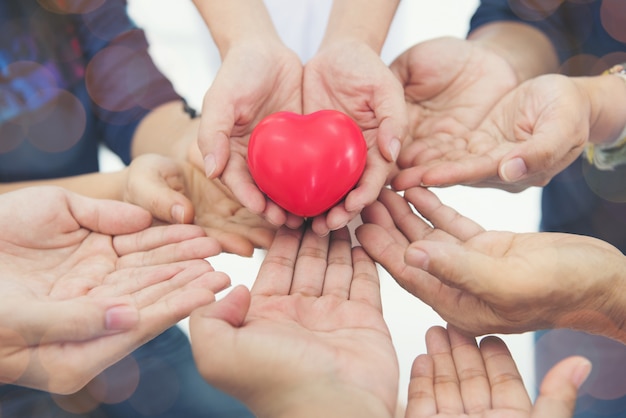 Together collaborate of hands teamwork isoleted on white