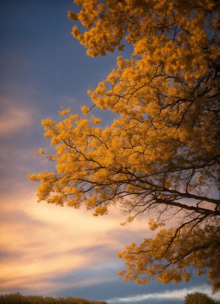 toile 5 branches dores sur fond de ciel