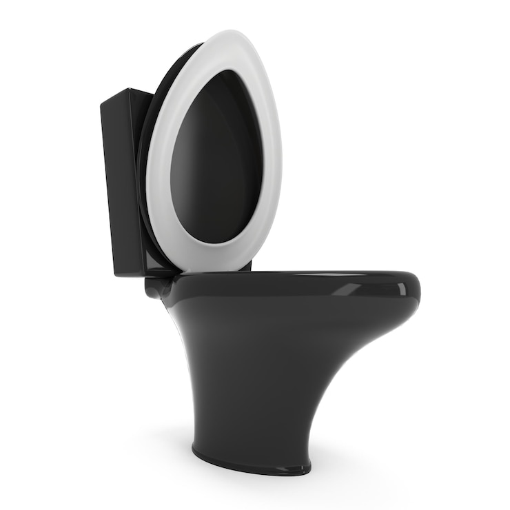 Фотография туалетная миска 3d