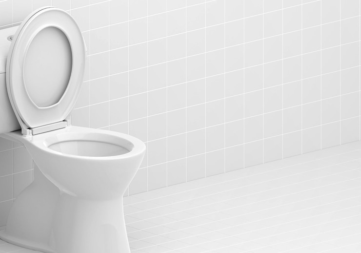 Photo バスルームのトイレボウル