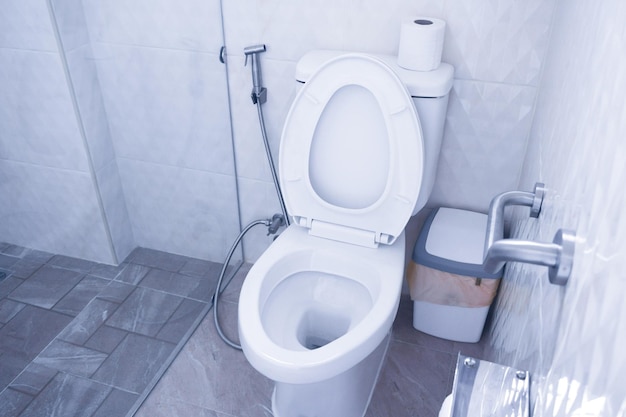 Унитаз в современной ванной комнате с мусорными ведрами и туалетной бумагой, унитаз смывной чистой ванной