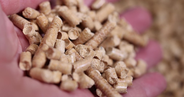 toilet filler for pets such as dogs cats rodents