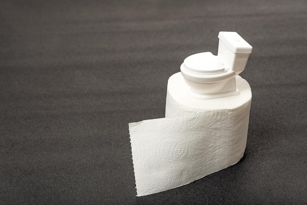 Toilet model is on roll of toilet paper Hygiene products for the restroom Toilet paper from recycled materials