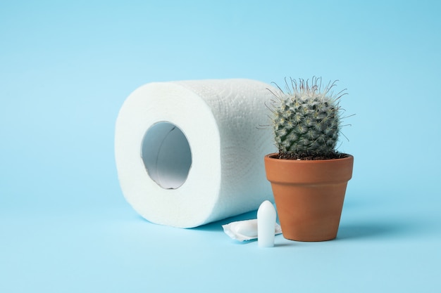 Toilet paper, cactus and candles on blue, close up