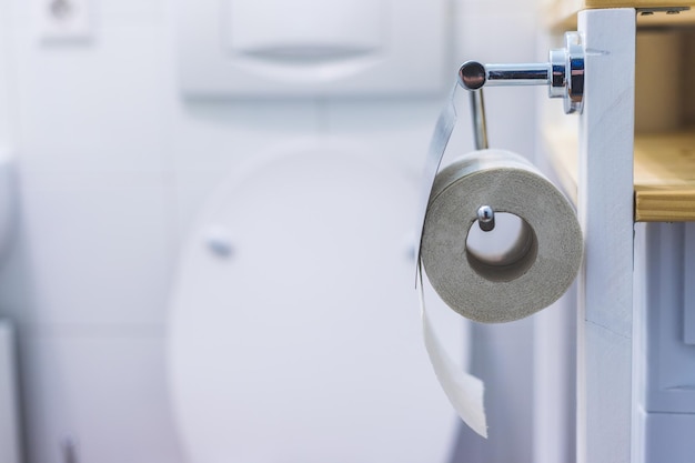 Toilet paper concept Close up of toilet paper roll on chrome hanger bathroom