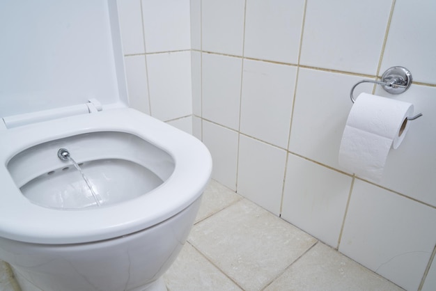 Toilet paper holder and ceramic toilet bowl in a public toilet.