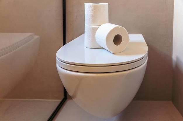 トイレット ペーパーは、便器のふたに衛生ティッシュ ナプキンを巻くモダンなバスルーム インテリアの詳細