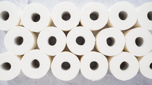 Toilet paper rolls