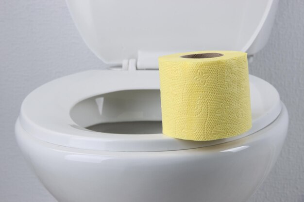 Toilet paper on a toilet closeup