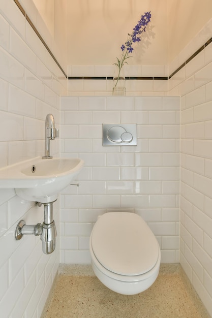 Toilet and shower in bathroom