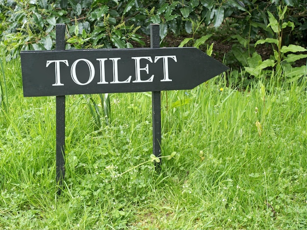 Toilet Sign, Women symbol