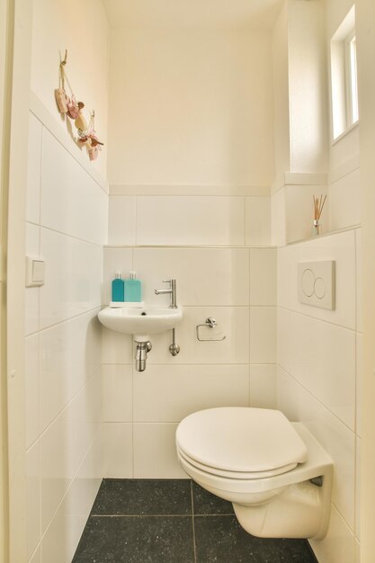 Toiletten met toilet en gootsteen