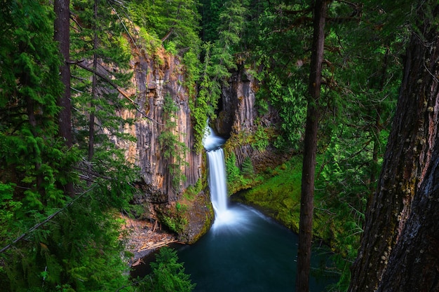 Toketee Falls in Douglas County Oregon