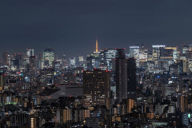 Tokyo cityscape which can see tokyo tower in far away, taking from tokyo sky tree east, Japan