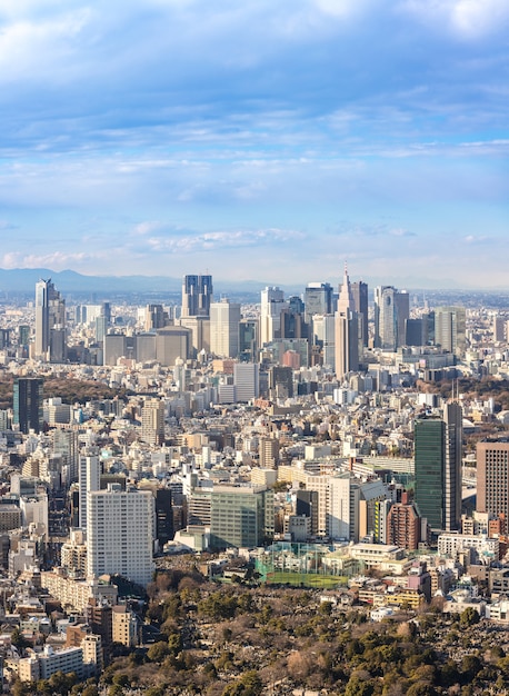 Tokyo Shinjuku skylines