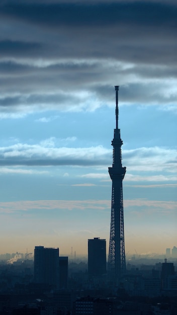 Tokyo Sky boom silhouet gebouw en zonsondergang met lucht en wolken.