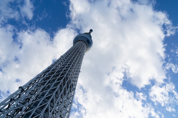 写真 青い空と夏の東京スカイツリー