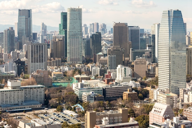 Tokyo skyline downtown Shijuku