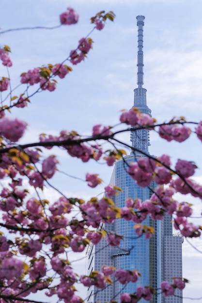 Tokyo Skytree met bloeiende kersenbloesems