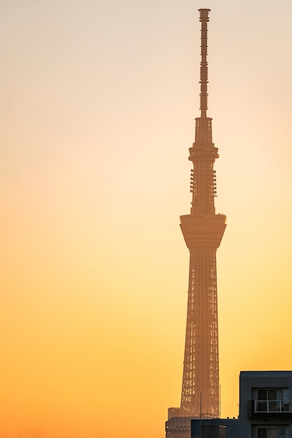 Tokyo Skytree sunrise Ueno